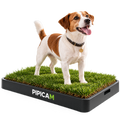 PIPICAM