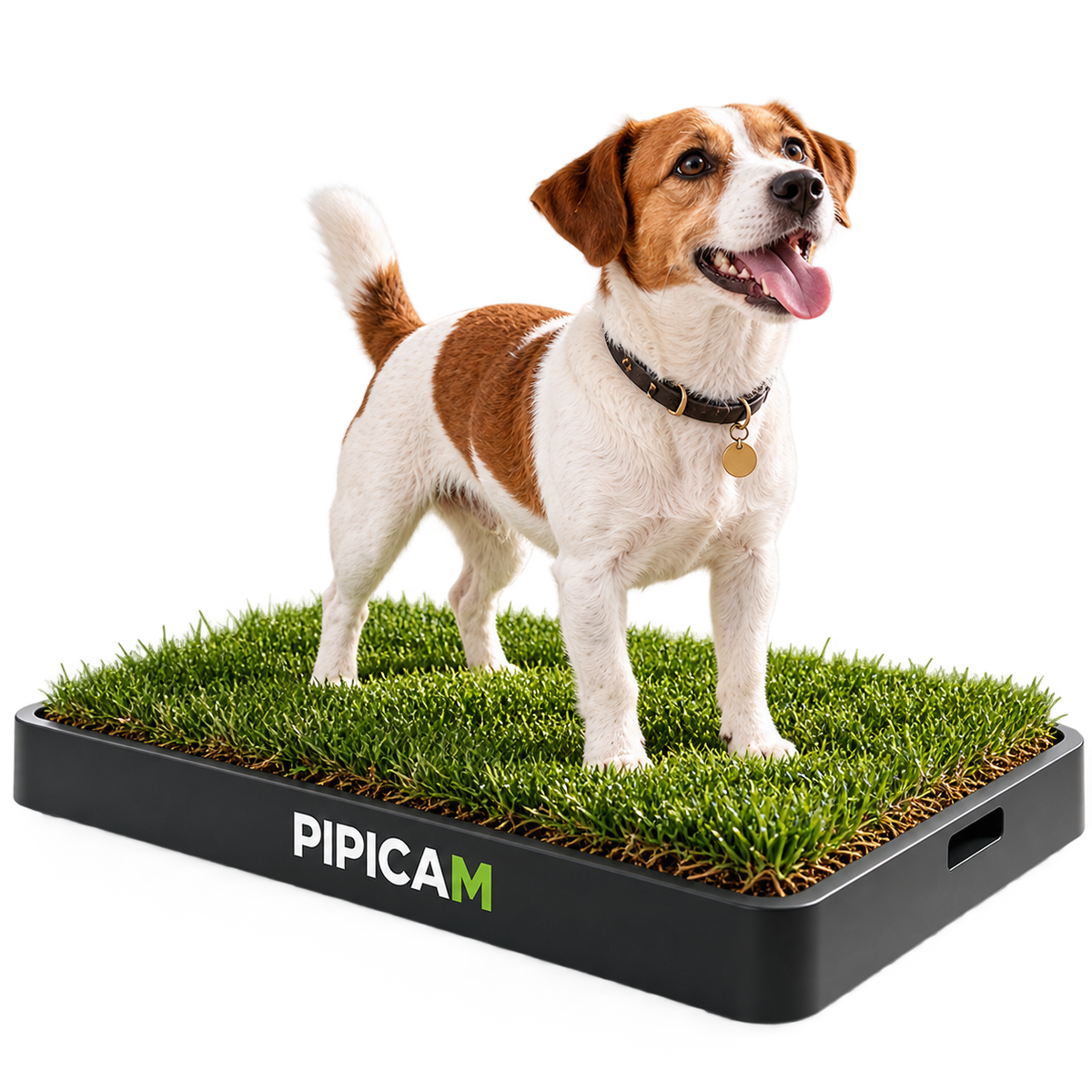 PIPICAM