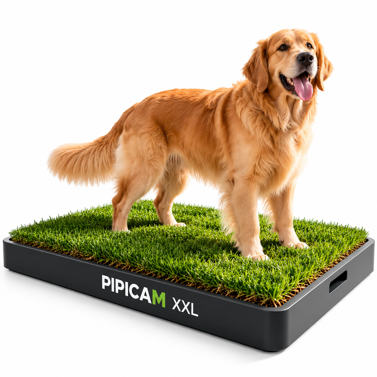 PIPICAM MAX XXL