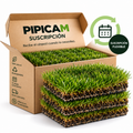 SUSCRIPCIÓN PIPICAM